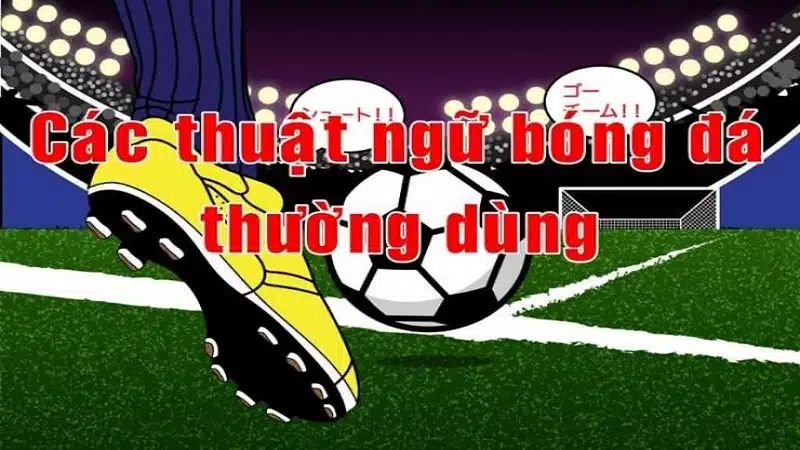 Giới thiệu sơ lược về thuật ngữ cá độ bóng đá