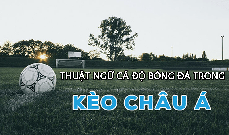 Một số thuật ngữ trong kèo bóng Châu Á